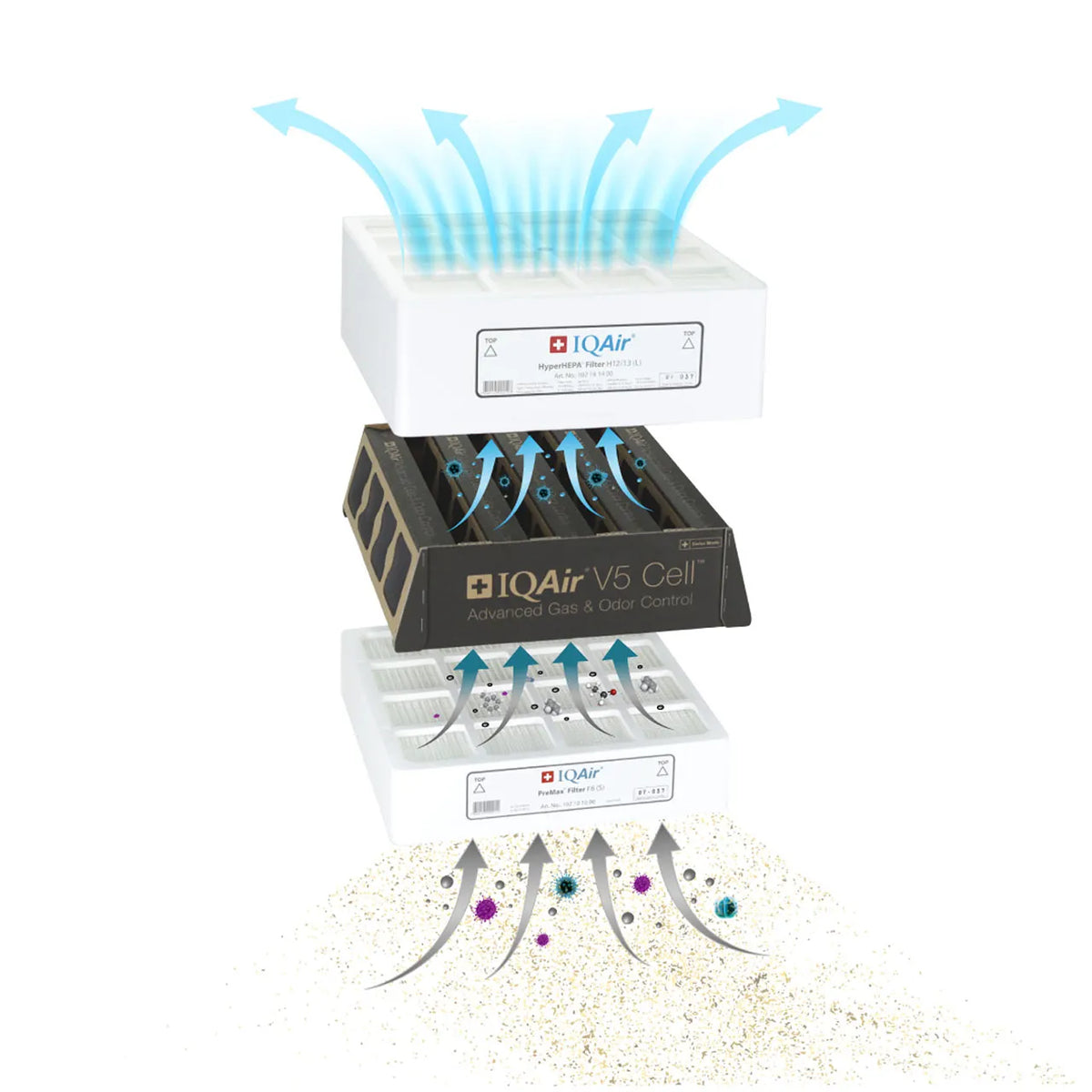 Grafik der drei IQAir HealthPro 250 XE Filterstufen: PreMax-, V5-Cell- und HyperHEPA-Filter mit Luftstrompfeilen
