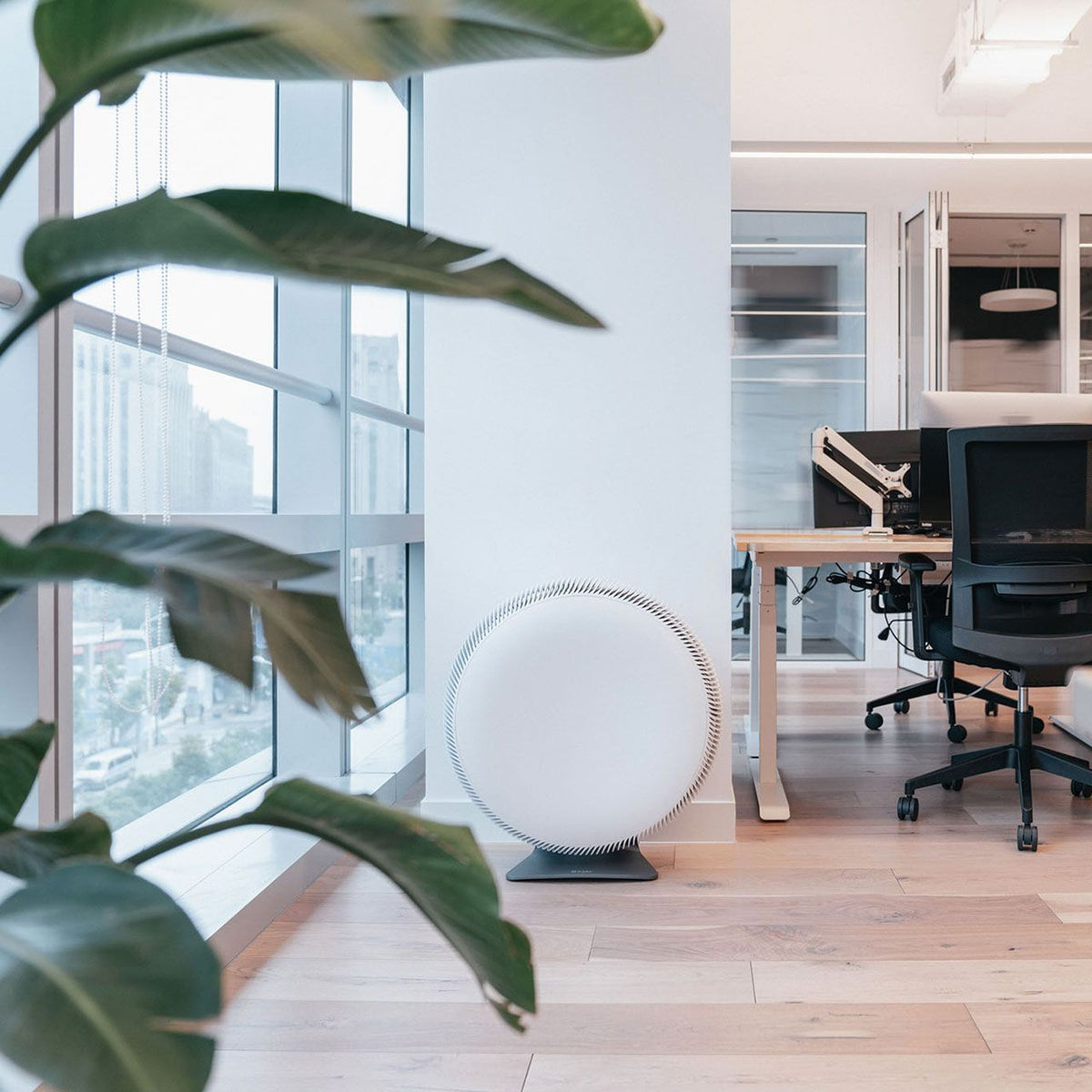 IQAir Atem X Luftreiniger, rundes weißes Gehäuse, in modernem Büro neben Schreibtischen