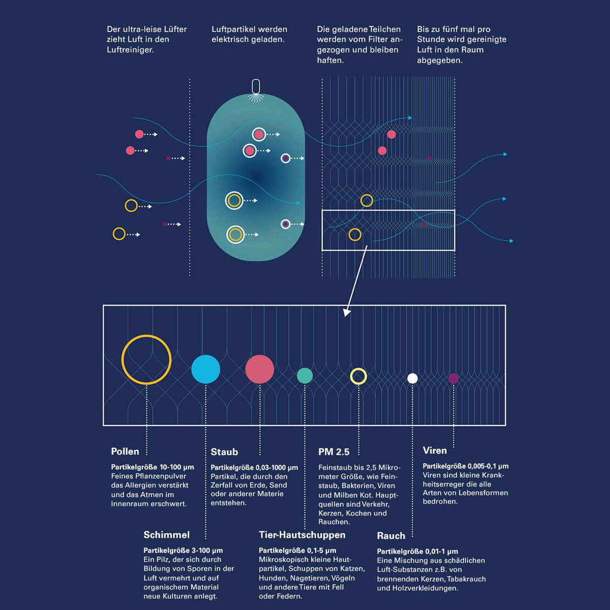 Grafik zur Funktionsweise des Blueair Luftreinigers und Partikelgrößen von Pollen, Staub, PM 2.5, Viren, Schimmel und Rauch