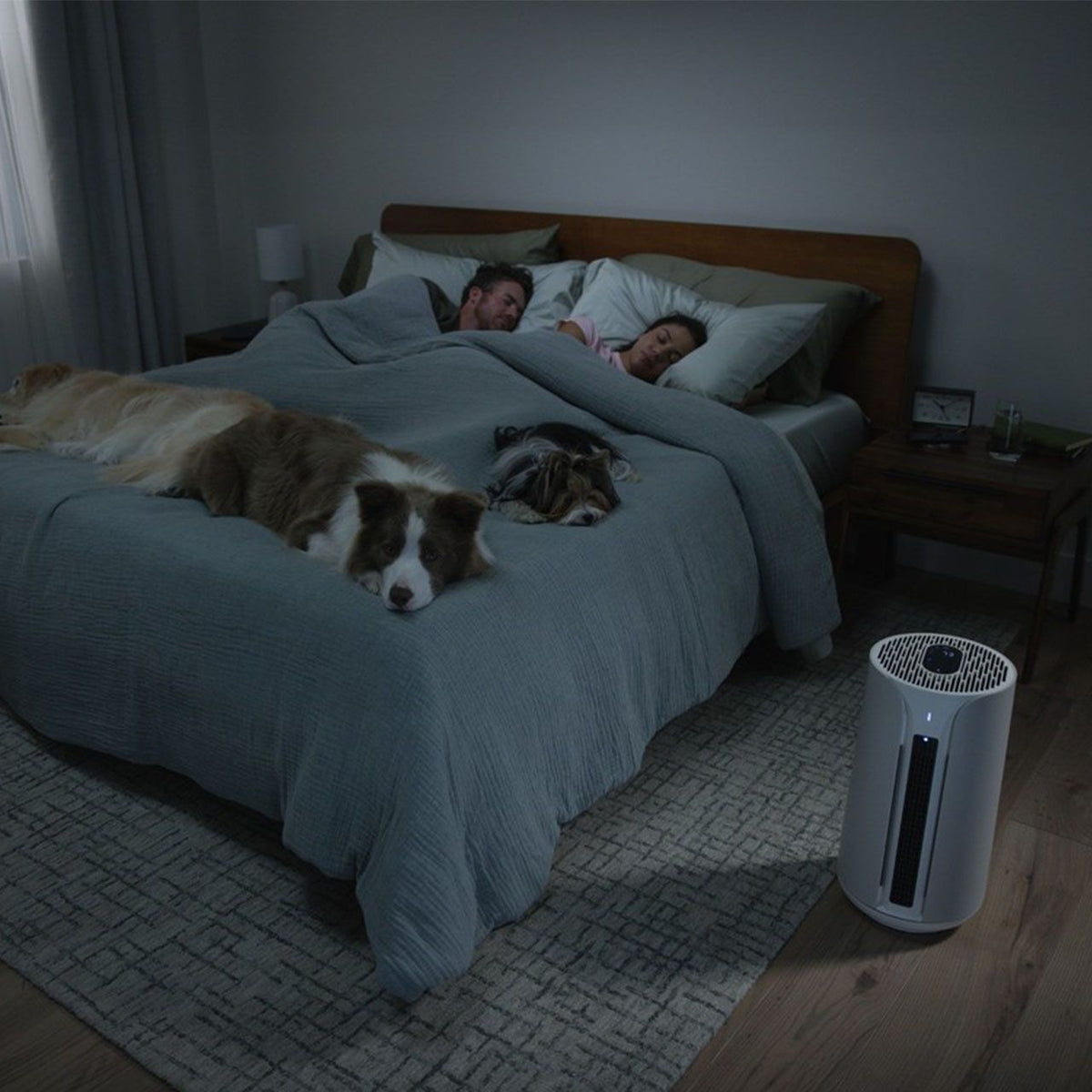 Blueair ComfortPure T10i Luftreiniger im Schlafzimmer neben Bett mit schlafenden Personen und Hunden