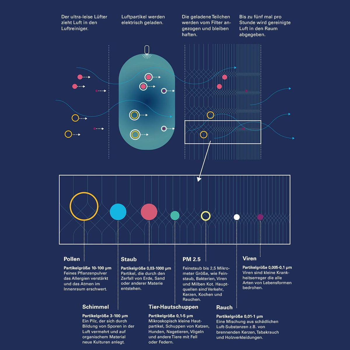 Grafik zur Filterfunktion des Blueair Classic 505 Luftreinigers und Partikelgrößen wie Pollen, Staub, Schimmel, Viren