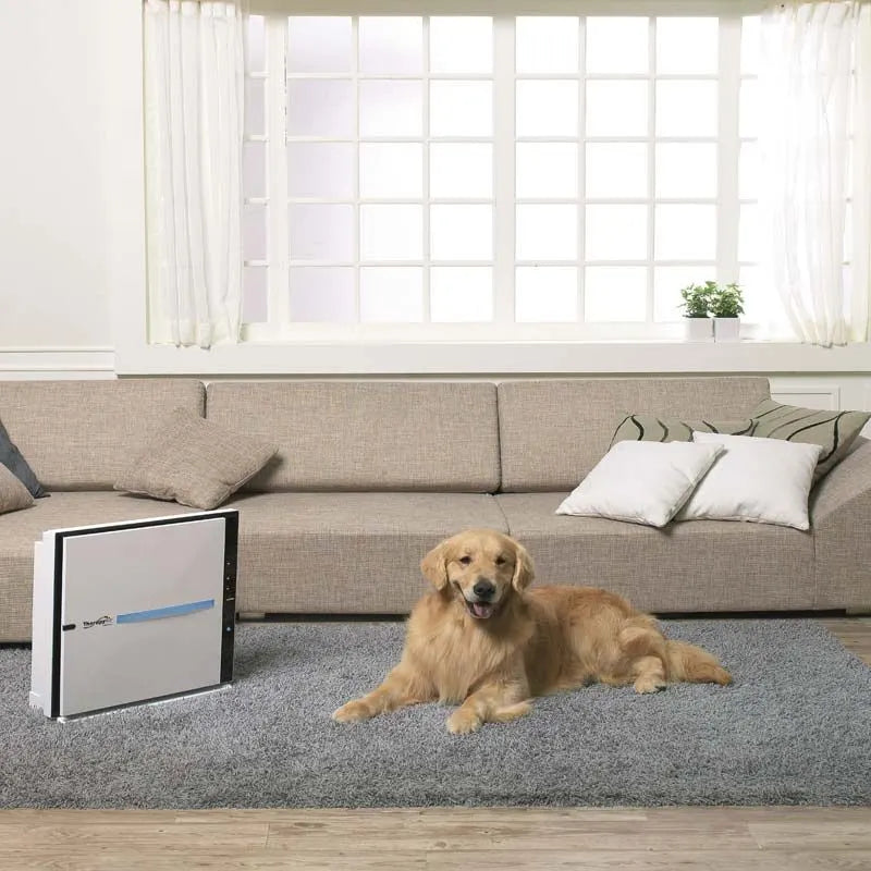 Zepter Therapy Air iON Luftreiniger im Wohnzimmer neben Sofa, Golden Retriever liegt auf Teppich davor